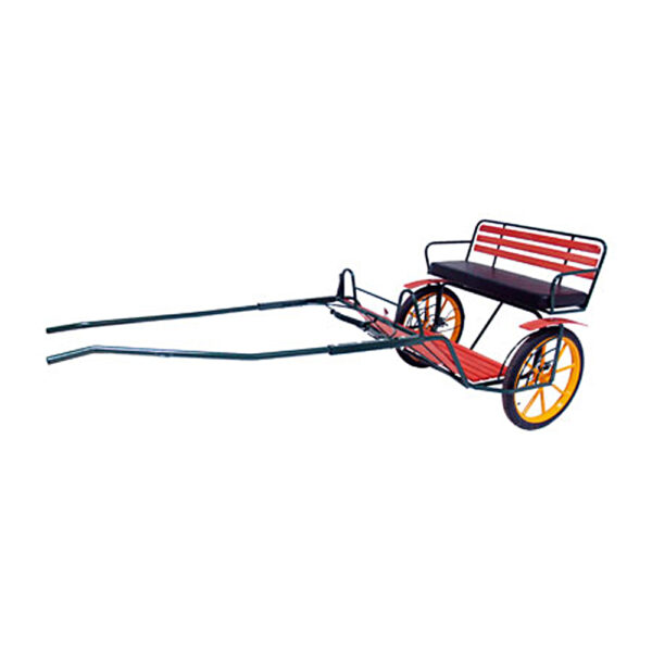 Coche Pony Plus