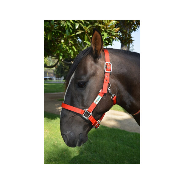 Jáquima nylon EQUESTRE