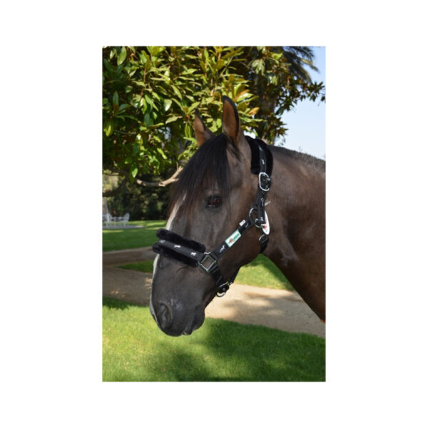 Jáquima nylon con protector EQUESTRE
