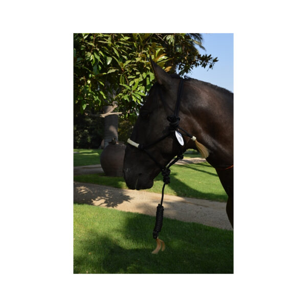 Jáquima de nudo con cuerda Western EQUESTRE