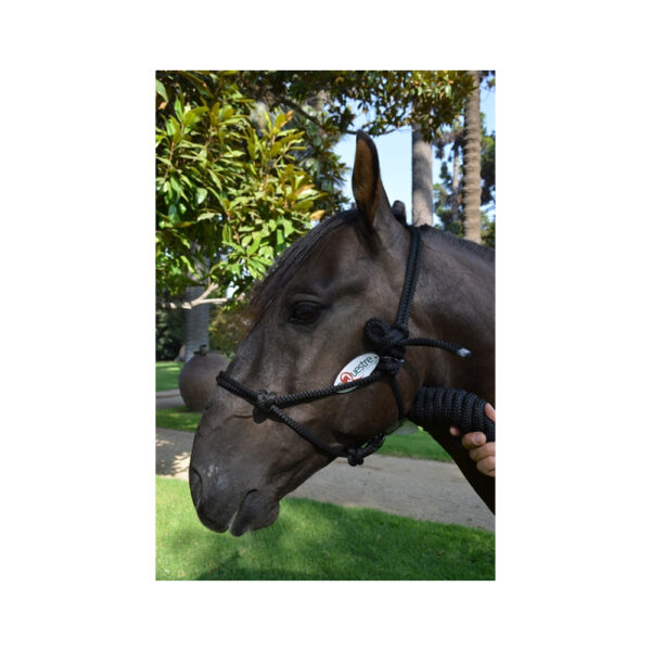 Jáquima de nudo EQUESTRE