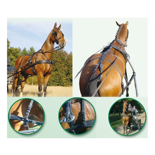 Arnés Leatec IDEAL EQUESTRIAN