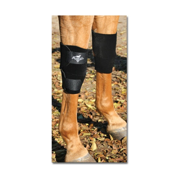 Protecciones Rodilla PROFESSIONAL CHOICE
