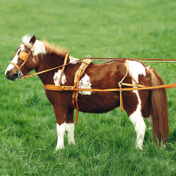 Arnés shetland EXCELSIOR