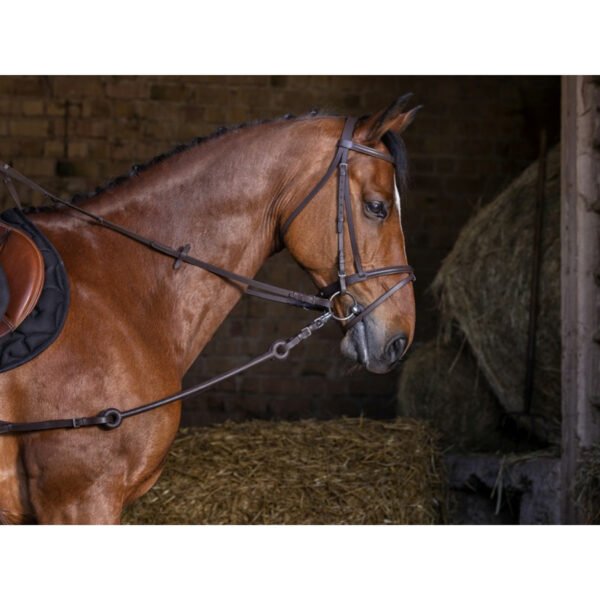 Rienda de pliegue pirelli RIDING WORLD