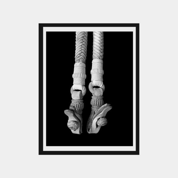 Cuadro fotografía en blanco y negro "Rienda"