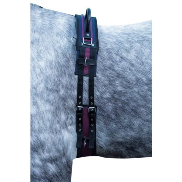 Cinchón volteo exclusivo HKM