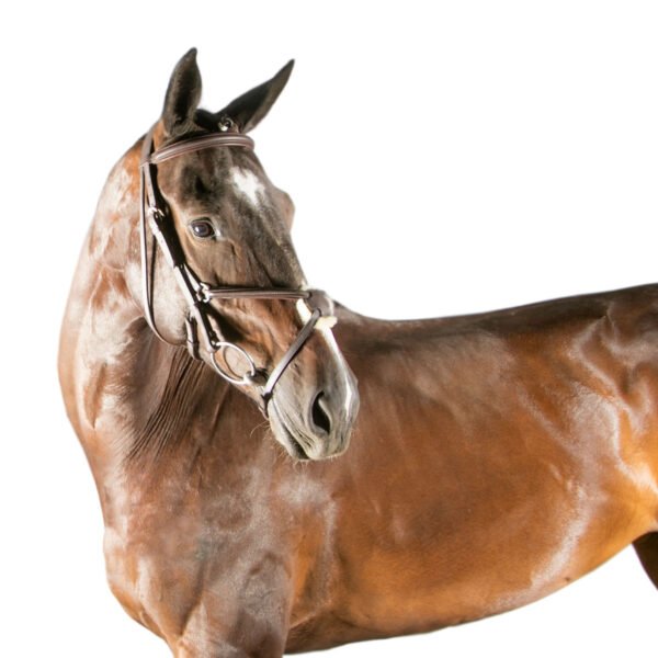 Cabezada mexican noseband HBC