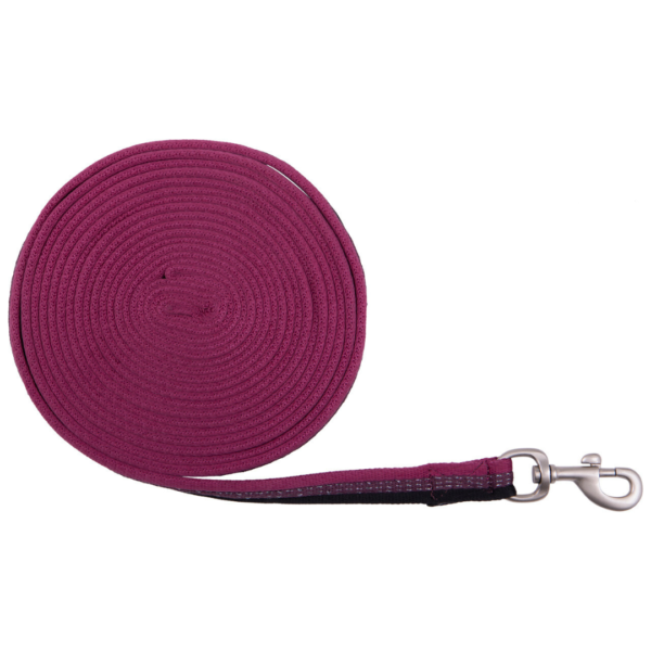 Cuerda de troya mystical QHP