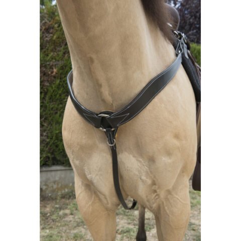 Ensemble Têtière Et Collier Poitrine Western Ashmira – Cuir Sculpté Main, Pour Cheval