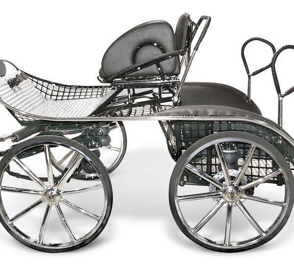 Coche double sport DS-320 GLINKOWSKI