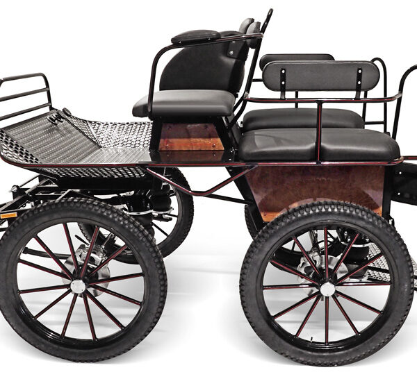 Coche otiumline OTL T 125 Plus GLINKOWSKI