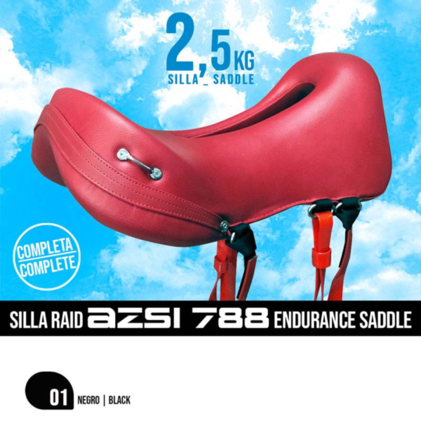 Silla endurance azsi 788 completa negra RAID
