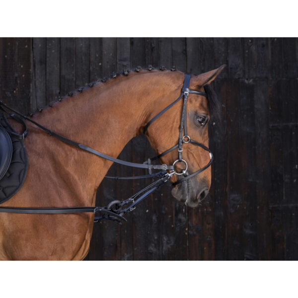 Riendas de pliegue negras RIDING WORLD