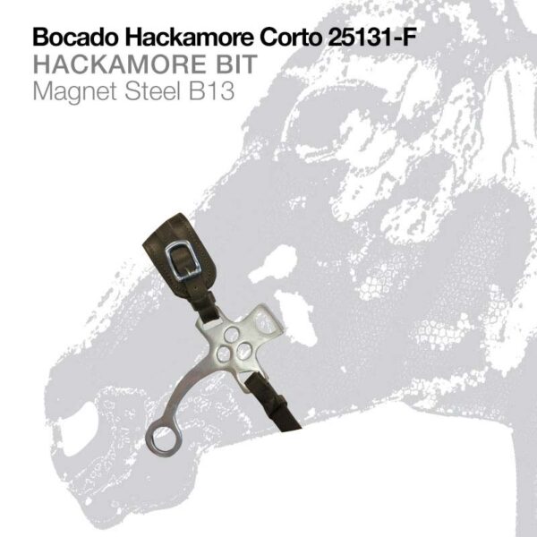 Hackamore corto