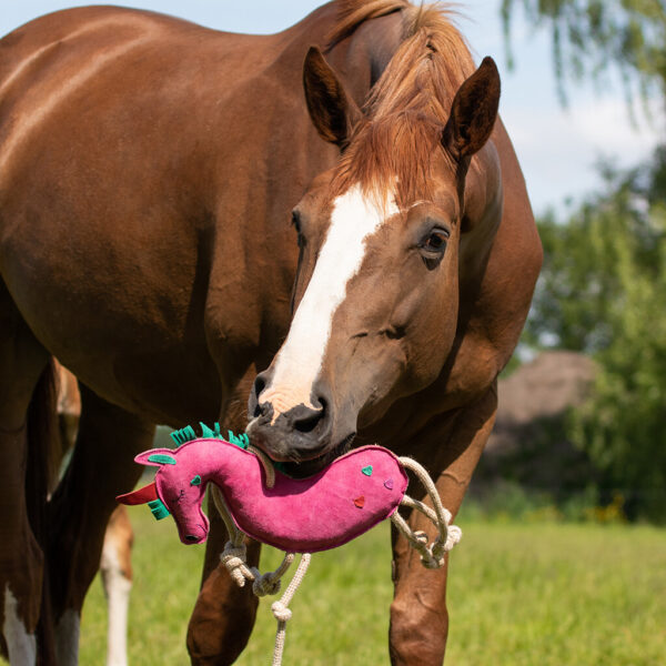 Juguete para caballo unicrnio QHP