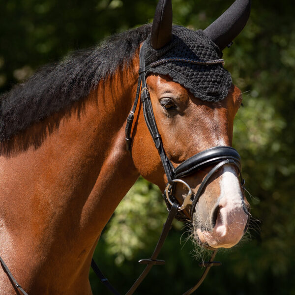 Orejeras soundless flore negro QHP