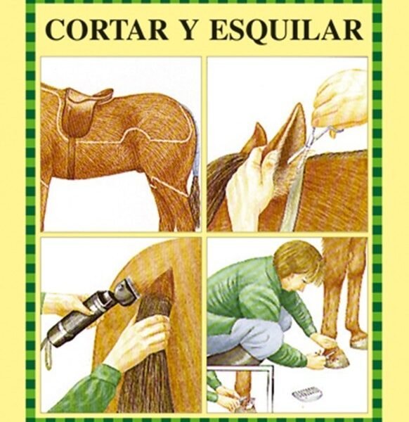 Libro cortar y esquilar guia ecuestre ilustradas