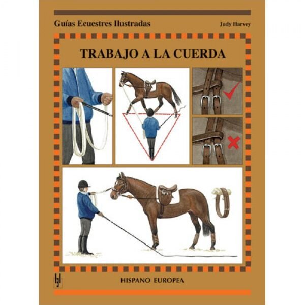 Libro trabajo a la cuerda Judy Harvey