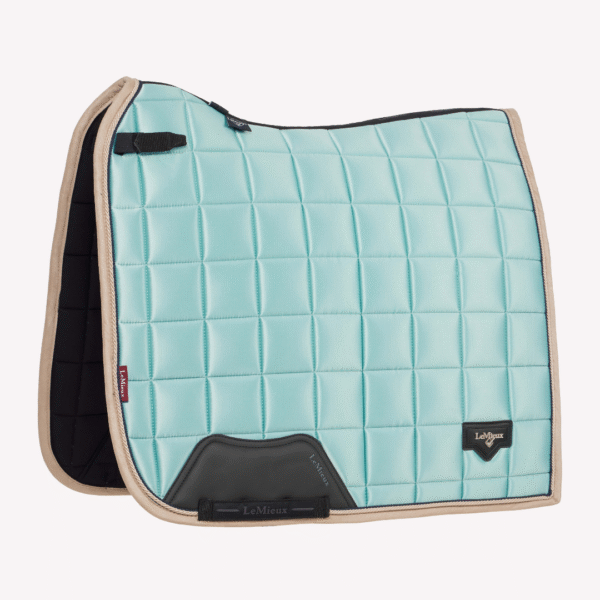 Mandil de adiestramiento loire classic aqua LEMIEUX