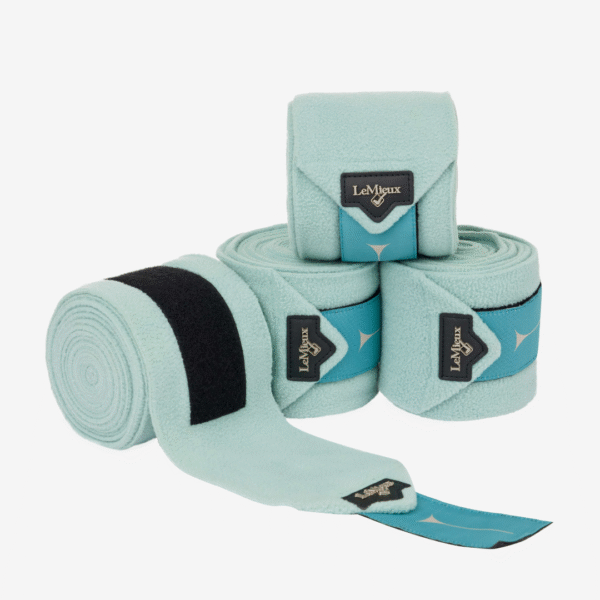 Vendas classic polo aqua LEMIEUX