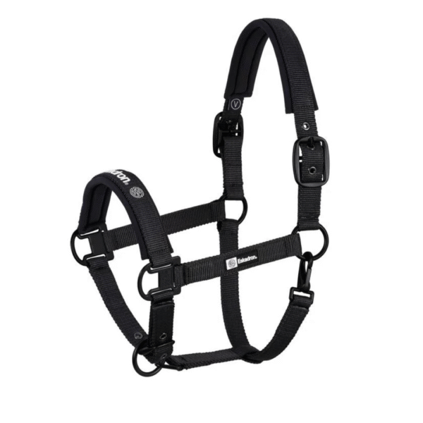 Jáquima pin buckle negra dynamic ESKADRON