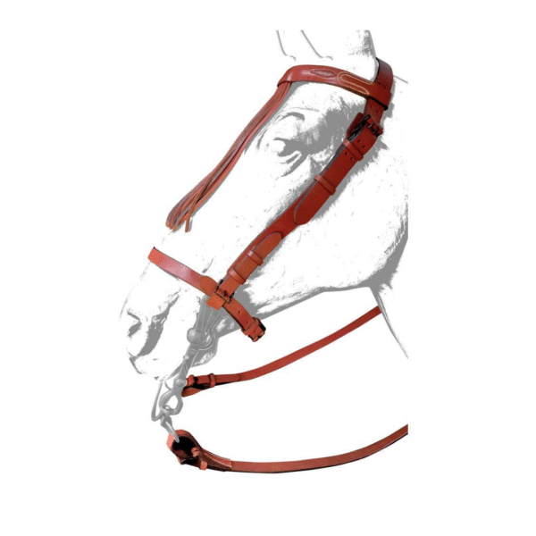 Cabezada vaquera ronda tostada ZALDI