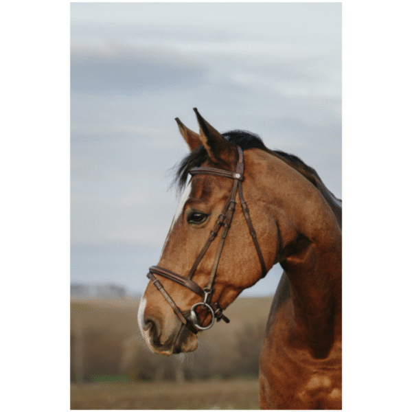 Cabezada club easy cafe NORTON