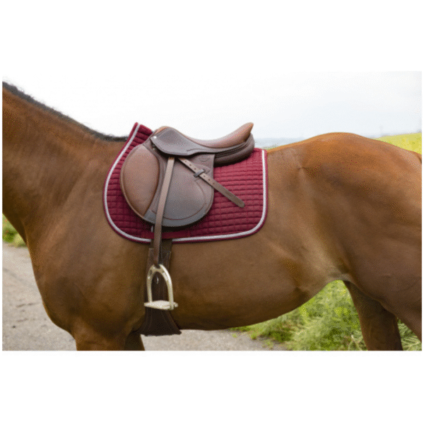 Mandil girly burdeo salto RIDING WORLD