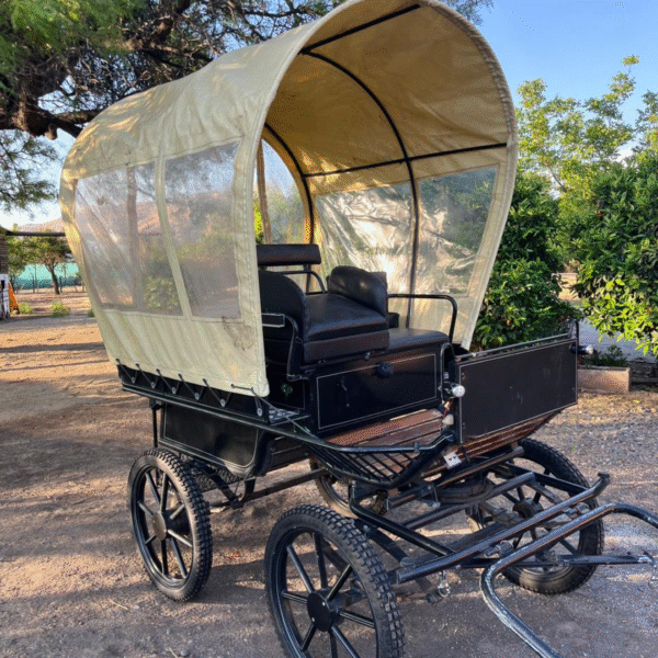 Treiningwagen disponibilidad inmediata