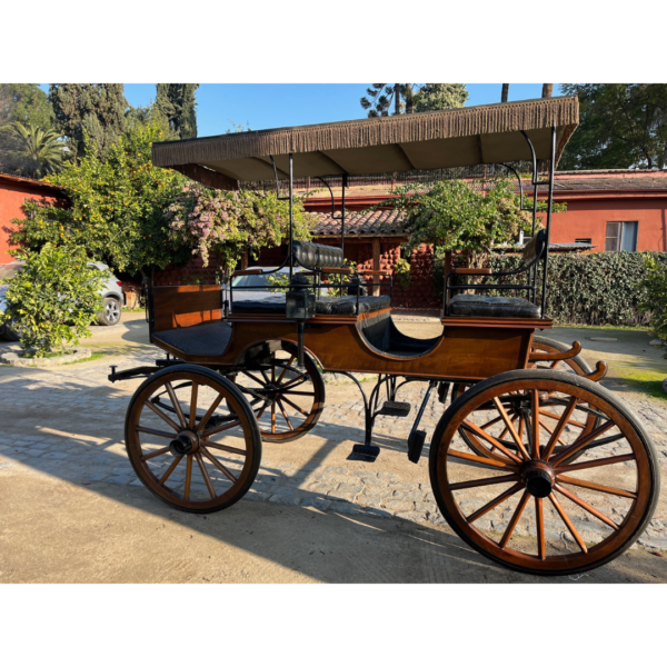 Coche Pauline con techo