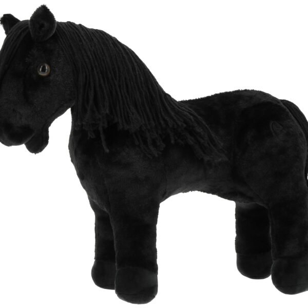 Eclair pony academy EQUITHEME