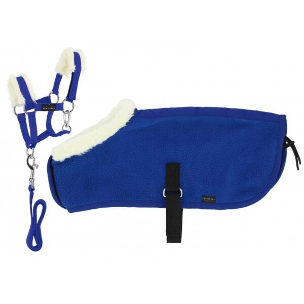 Set azul rey mini jáquima + capa pony academy EQUITHEME