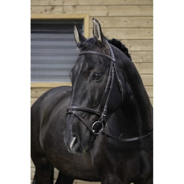 Cabezada muserolle negra full RIDING WORLD