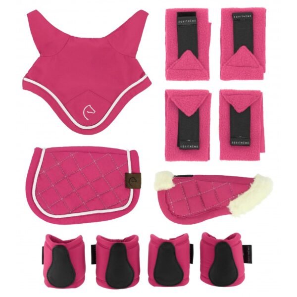Set rosado de 5 accesorios pony academy EQUITHEME