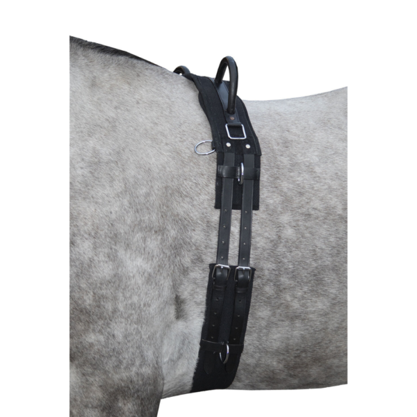 Cinchón con asas canvas negro full HKM